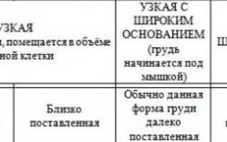 Красивая, большая, маленькая женская грудь. Типы, формы и размеры. Фото