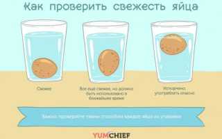 Учимся проверять яйца на свежесть: самые эффективные методы